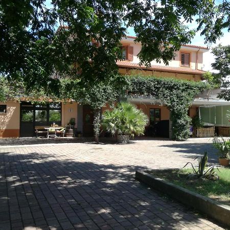 Guesthouse Skofije Ob Parenzani Spodnje Skofije Bagian luar foto